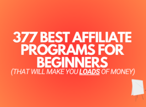 377+ Best Affiliate Programs For Beginners in 2024
