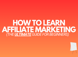 Learn Affiliate Marketing in 2024 (The Beginners Guide)