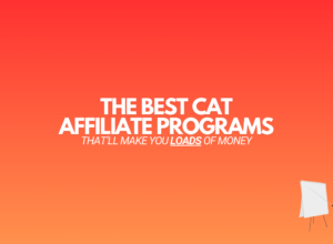 13 Best Cat Affiliate Programs (That’ll Make You Money in 2024)