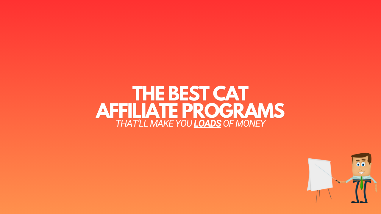 Read more about the article 13 Best Cat Affiliate Programs (That’ll Make You Money in 2024)